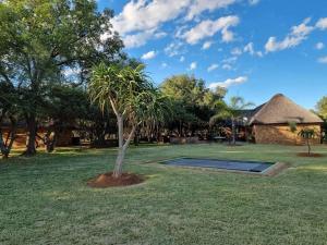 Κήπος έξω από το Unathi Game Lodge