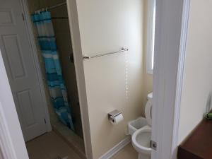 a bathroom with a shower and a toilet at Beautiful Master Bedroom, TV, Wi-fi, Laundry, Parking in Cambridge