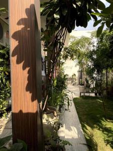 una sombra de un árbol al lado de una casa en Soulful Himalayan Retreat, en Rishīkesh