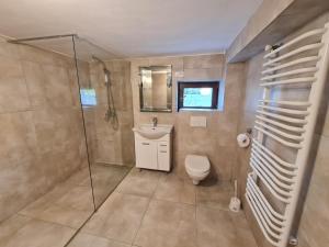 een badkamer met een douche, een toilet en een wastafel bij Gospodarstwo Agroturystyczne Julia in Czeremcha