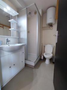 a bathroom with a shower and a toilet and a sink at Appartement Plage des Arts in Saint-Cyprien