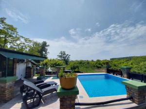 a swimming pool on a patio with chairs around it at Vila Sava in Jarak