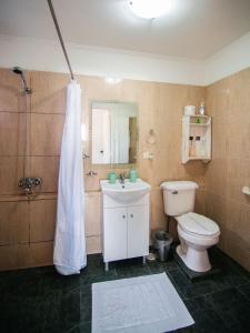 a bathroom with a toilet and a sink and a shower at Amigos del viento in Chile Chico