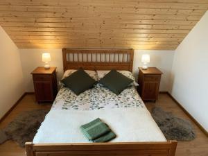 1 dormitorio con 1 cama grande y 2 mesitas de noche en Kaszubska Osada Domki z Balią en Tuchomie