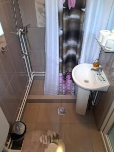 a bathroom with a shower and a sink at Casa EliAndrei in 2 Mai