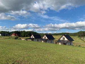 a row of houses on a hill in a field at Kaszubska Osada Domki z Balią in Tuchomie