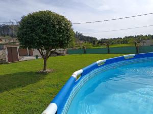 a blue swimming pool in a yard with a tree at Casa/chalet en Sanxenxo 3hab. in Sanxenxo