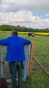 Un homme penchant au-dessus d'une clôture en train de regarder une vache dans l'établissement ferme pedagogique des pennetieres, à Montcorbon