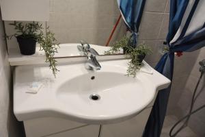 a bathroom sink with plants on top of it at Comfy house in varkiza in Varkiza