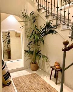 カリアリにあるLa Maison Boheme by Fra Cielo e Mareの室内の植物のある階段