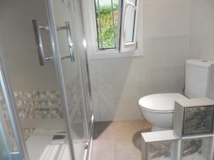 a bathroom with a toilet and a shower at Bilbao céntrico 1h Zumaia in Bilbao +2 photos