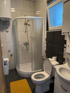 a bathroom with a shower and a toilet and a sink at Apartman Iskra in Bijela
