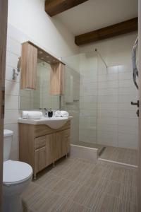 a bathroom with a toilet and a sink and a shower at Viktor Bor- és Vendégház**** in Balatonmáriafürdő