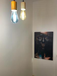 Harmony Apartment Poiana Brasov في بويانا براسوف: مصباحين و صورة رجل أسود على الحائط