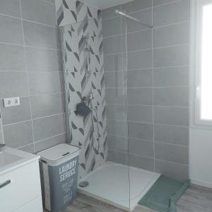 y baño con ducha, aseo y lavamanos. en Charmant appartement proche Carcassonne en Montgradail