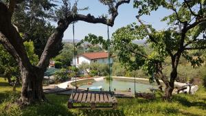 Eine Schaukel hängt von einem Baum neben einem Pool in der Unterkunft Villa con Biolago - Downstairs in Cappelle sul Tavo