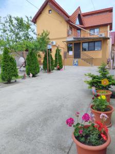 une maison avec des pots de fleurs devant elle dans l'établissement Dalila, à Corbu