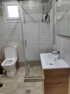 a bathroom with a shower and a toilet and a sink at Sofia's House in Néa Tríglia