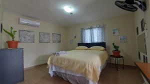 a bedroom with a bed and a window at Casa Kamanda, Zona Colonial, Santo Domingo in Santo Domingo