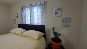 Postel nebo postele na pokoji v ubytování Casa Kamanda, Zona Colonial, Santo Domingo