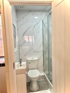een badkamer met een toilet en een wastafel bij Aldgate Holiday Rooms in Londen