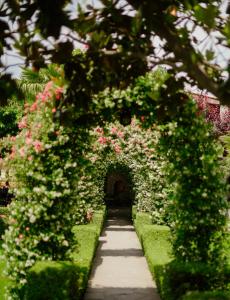 an archway with pink flowers in a garden at Real Scampis Hotel in Elbasan