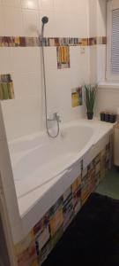 a bath tub with a shower in a bathroom at Apartmán Na Výsluní in Weisswasser in Böhmen