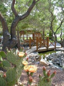 a bridge in a garden with cacti and a pond at Preferred RV Resort in Pahrump
