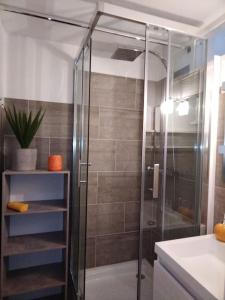 y baño con ducha y lavamanos. en Appartement dans une Résidence Calme (4 Personnes) en Saint-Lary-Soulan
