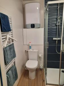 a small bathroom with a toilet and a shower at Studio Jean Jaures in Chalon-sur-Saône