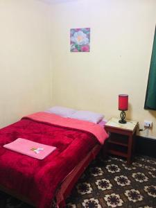 利馬的住宿－KORICANCHA，一间卧室配有红色的床和一张带台灯的桌子