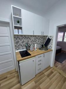 una cucina con lavandino e piano di lavoro di Jaz Apartman a Bajina Bašta