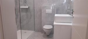 a bathroom with a shower and a toilet and a sink at Holiday house Stela in Gdinj