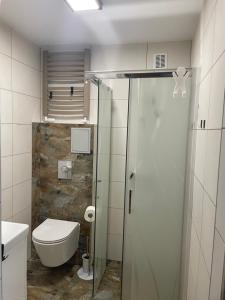 a bathroom with a toilet and a glass shower stall at Apartament Lopuskiego 16 in Kołobrzeg