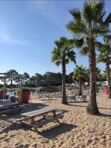 - une table de pique-nique en bois sur une plage bordée de palmiers dans l'établissement Mobil home climatisé, à Lège-Cap-Ferret