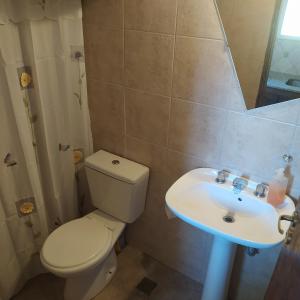 烏斯帕亞塔的住宿－Posada Uspallata，一间带卫生间和水槽的浴室
