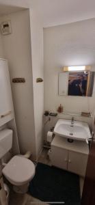 a bathroom with a white toilet and a sink at Refuge St Lary in Saint-Lary-Soulan