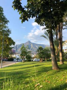 Afbeelding uit fotogalerij van Banús Home in Marbella