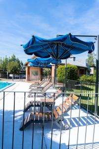 a group of chairs and umbrellas next to a pool at Narcizo in Lules