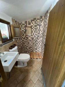 ein Bad mit einem WC, einem Waschbecken und einer Dusche in der Unterkunft Muristene Pozzo Santa Cristina in Paulilatino