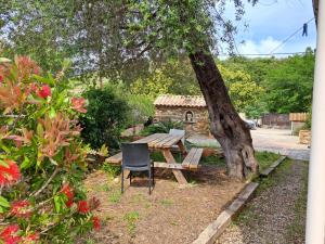 a picnic table and a chair under a tree at Villa authentique à Patrimonio in Patrimonio