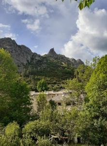 a view of a mountain with trees and buildings at Les Terrasses du Paradis in Orpierre