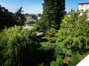 an overhead view of a yard with trees at P' TI ECRIN DE VERDURE in Illzach