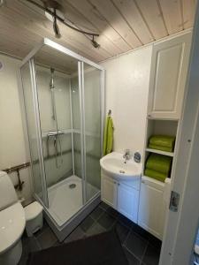 a bathroom with a shower and a sink and a toilet at Tiny House i storslået natur in Frederikshavn