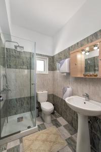een badkamer met een toilet, een wastafel en een douche bij Iliana Apartment in Afantou