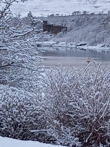 a view of a lake with snow covered plants at Castle View Apartment in Dunvegan