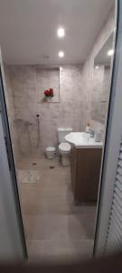 W łazience znajduje się toaleta, umywalka i prysznic. w obiekcie Panorama Apt Maroulas w mieście Maroulás