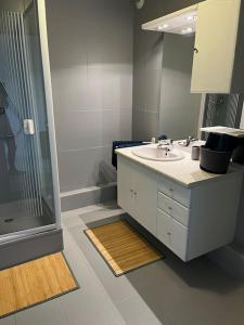 een badkamer met een wastafel en een douche bij L'Etoile in Lutterbach