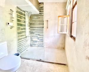 a bathroom with a toilet and a shower at Inviting 2-Bed Apartment in Cofresi in Las Flores +14 photos