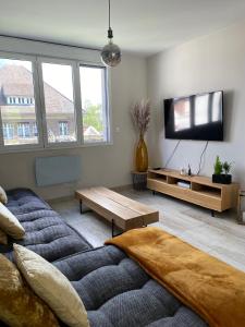 salon z kanapą i telewizorem z płaskim ekranem w obiekcie Maison d architecte avec spa w Épernay